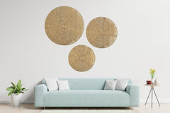 Natural Seagrass Circular Wall Decor 3 Piece Set