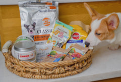 Natural Woven Water Hyacinth Tray With Ceramic Handles 2 Piece Set