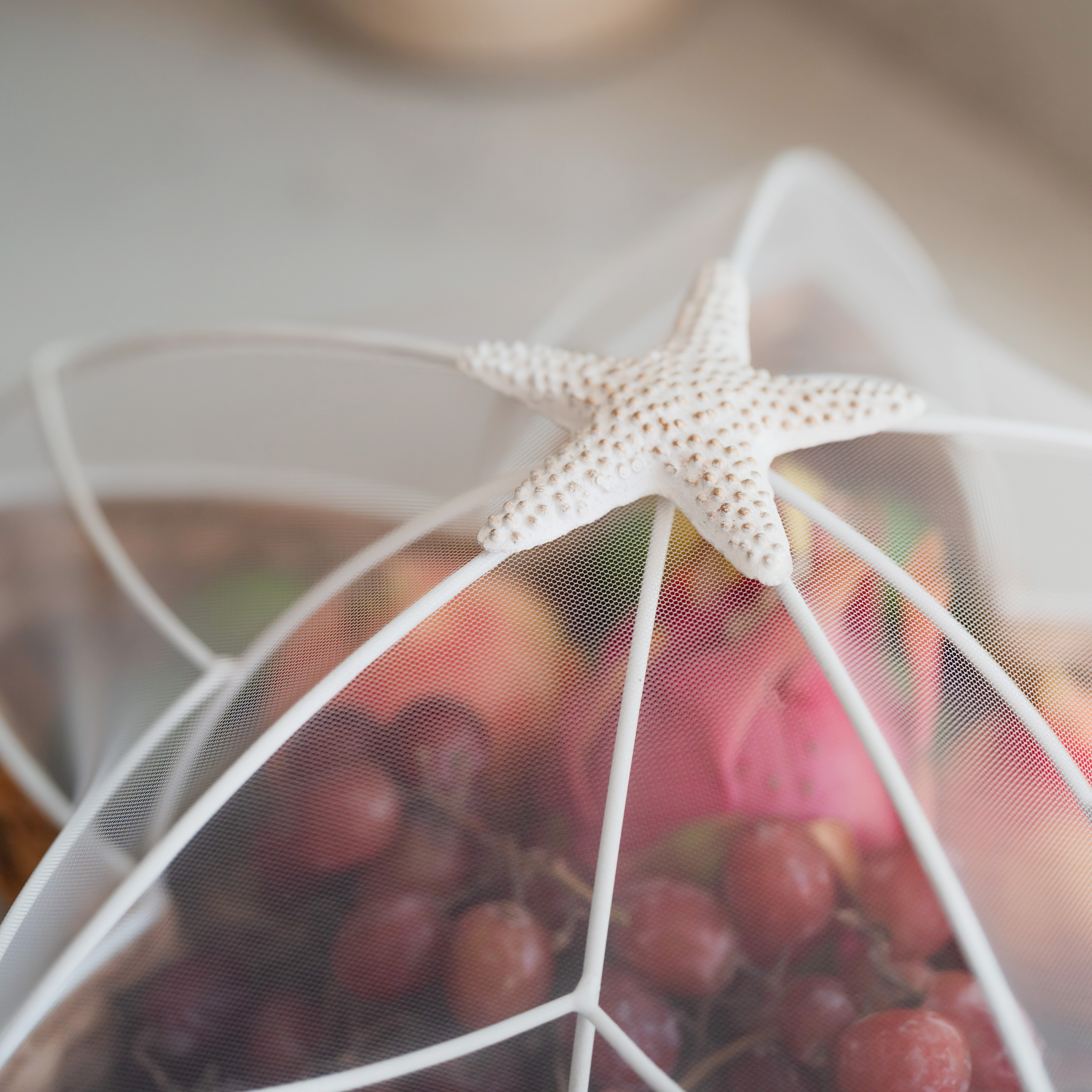 Handwoven Water Hyacinth Star Tray with Mesh Food Cover